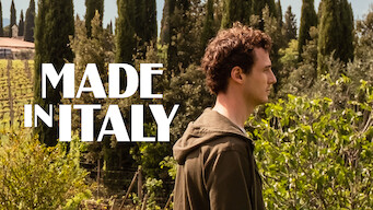 Made in Italy (2020)