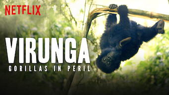 Virunga: Gorillas in Peril (2015)