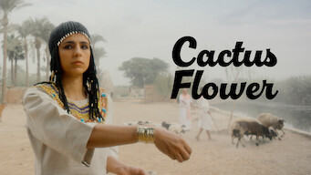 Cactus Flower (2017)