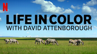 Life in Color with David Attenborough (2021)